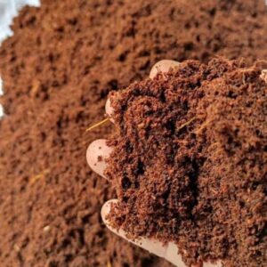 Cocopeat